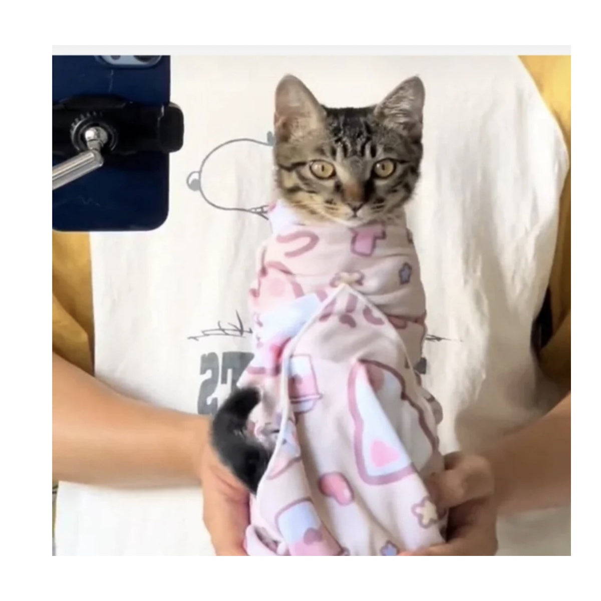 Kedi Kundağı – Bakım ve Tırnak Kesimi İçin