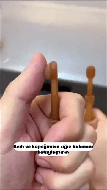 Silikon başlıklı pet diş fırçası kullanım görüntüsü