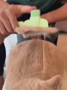 Kedi ve Köpekler İçin Tek Tuşlu Tüy Toplama Tarağı