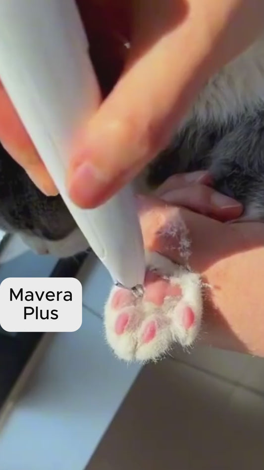 Kedi ve Köpekler İçin LED Işıklı Pati & Hassas Bölge Tıraş Makinesi
