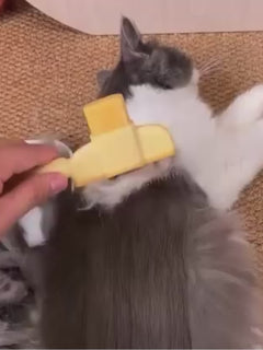 Kedi ve Köpekler İçin Tek Tuşlu Tüy Toplama Tarağı