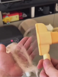 Kedi ve Köpekler İçin Tek Tuşlu Tüy Toplama Tarağı